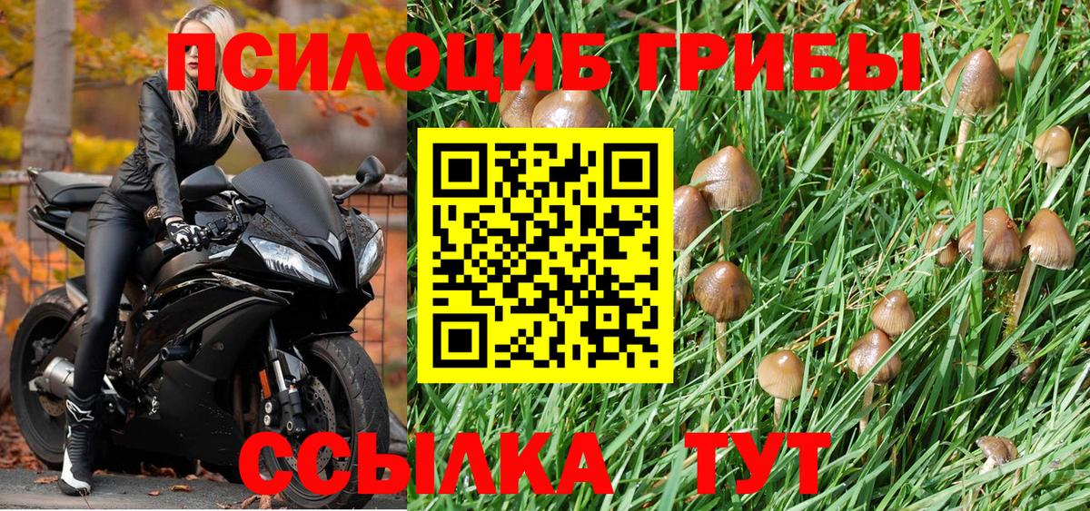 Галлюциногенные грибы прущие грибы Щёкино