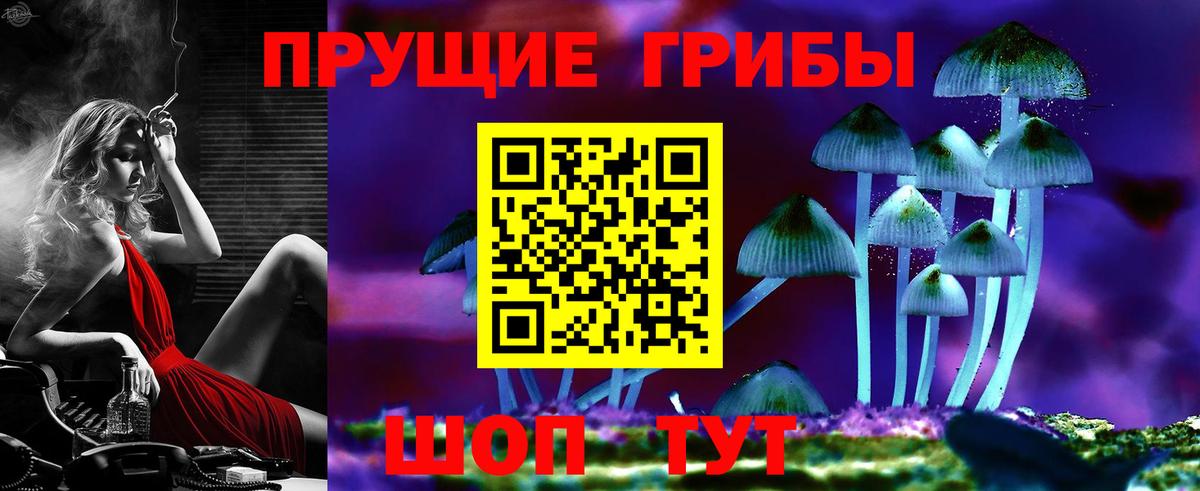Щёкино  продажа наркотиков  Псилоцибиновые грибы мухоморы  Вход с VPN  Псилоцибиновые грибы Cubensis 